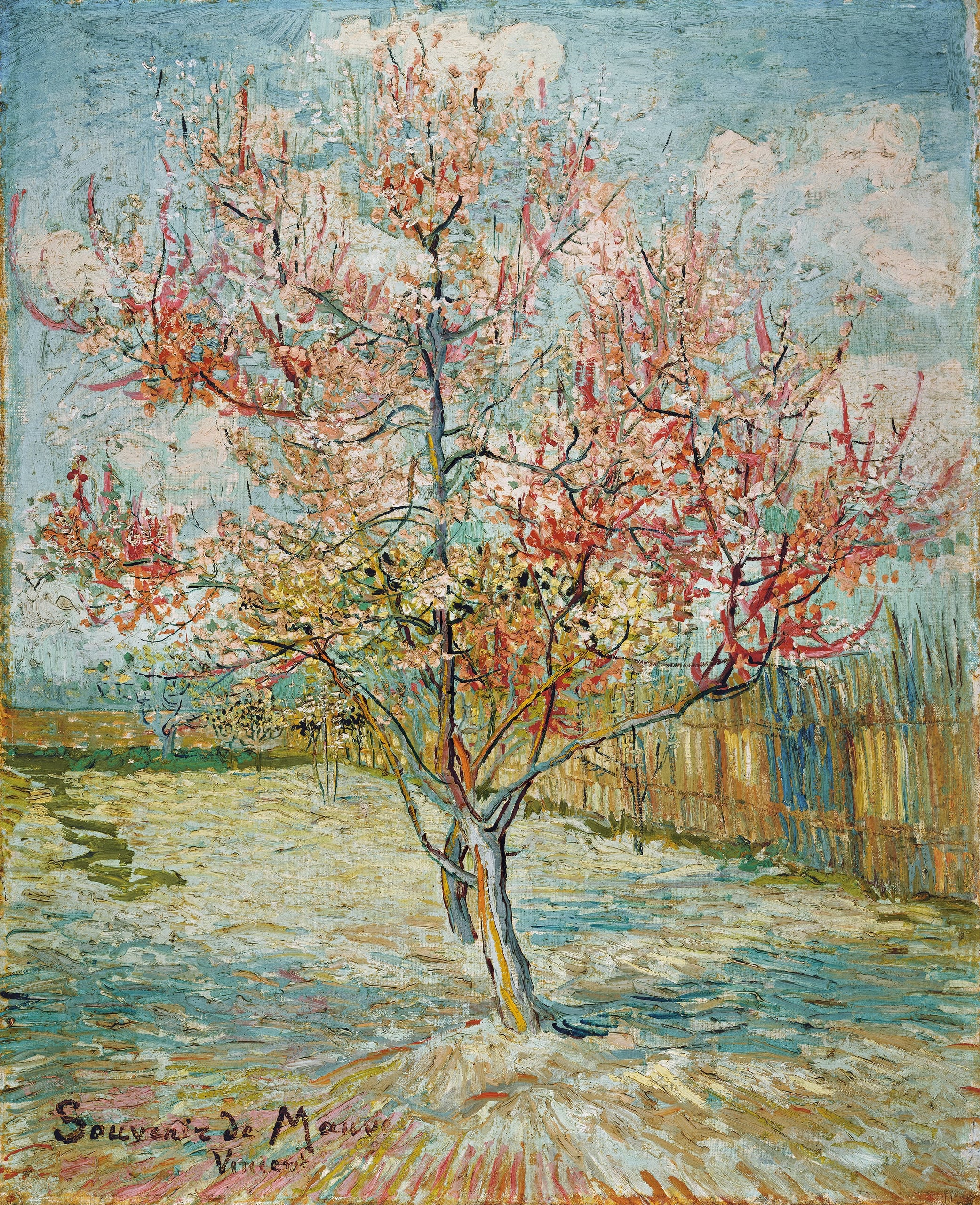 De roze perzikboom (Van Gogh) aan de muur in een interieur