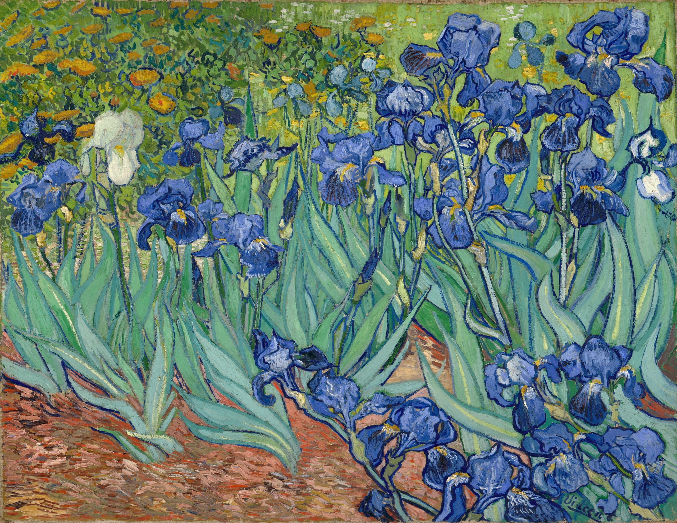 Irissen (Van Gogh) aan de muur in een interieur